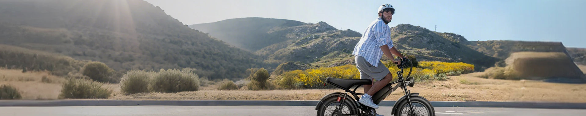 Electric Bikes
