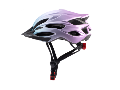Mountain Bike Helmet